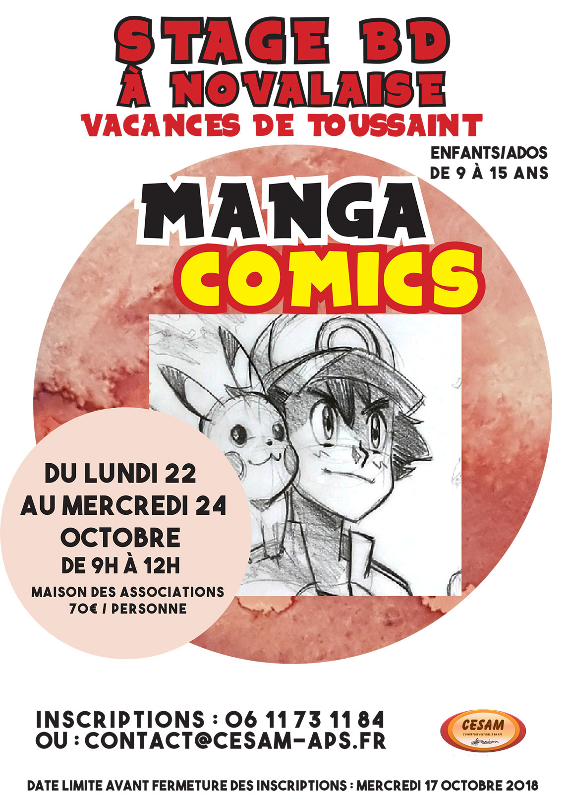 Stage CESAM 2018 Manga BD Novalaise